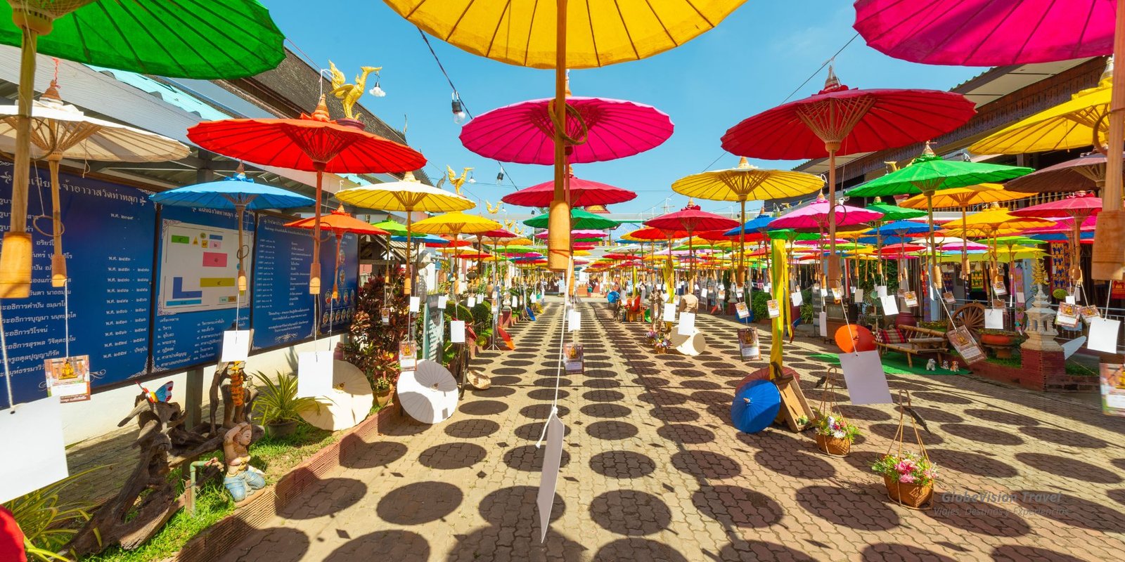 habitos saludables para una vida mas equilibrada 20